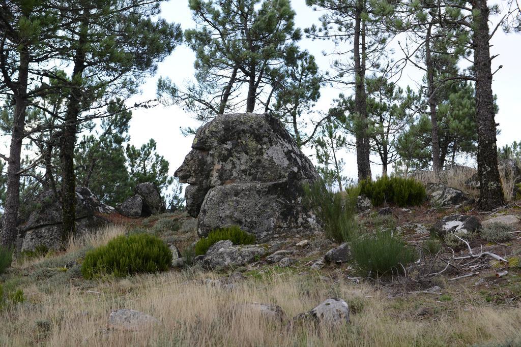 Terra Mista Alojamento Local Gouveia  Εξωτερικό φωτογραφία